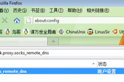 在Firefox里设置远程DNS解析,防止DNS劫持!