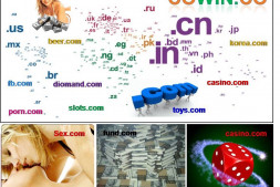 全球域名价值排名500强