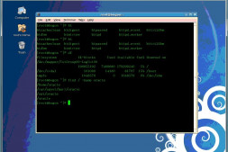 (总结)CentOS Linux下VNC Server远程桌面配置详解