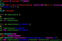 (总结)按时按登录IP记录Linux所有用户操作日志的方法(附脚本)