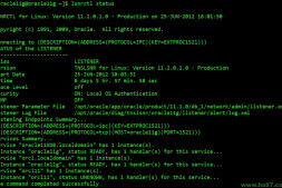 (总结)Oracle监听服务lsnrctl参数及查询状态详解