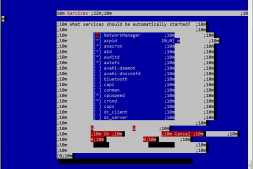 (总结)SecureCRT运行ntsysv工具乱码解决方法