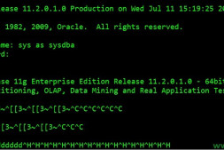 (原创)Linux Oracle下sqlplus无法使用命令退格删除和历史记录的解决方法(使用rlwrap)
