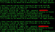 (总结)Linux下的暴力密码在线破解工具Hydra详解