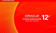 Oracle数据库如何授权收费(Database Licensing)