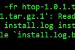 (原创)Linux文件系统只读Read-only file system的快速解决方法