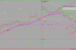 微盘股的妈妈叫散户,红利股的妈妈叫险资,没妈的叫基金重仓。各找各妈。